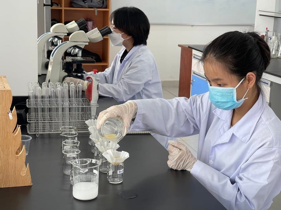 giao-duc-2016-2023-237.jpg
