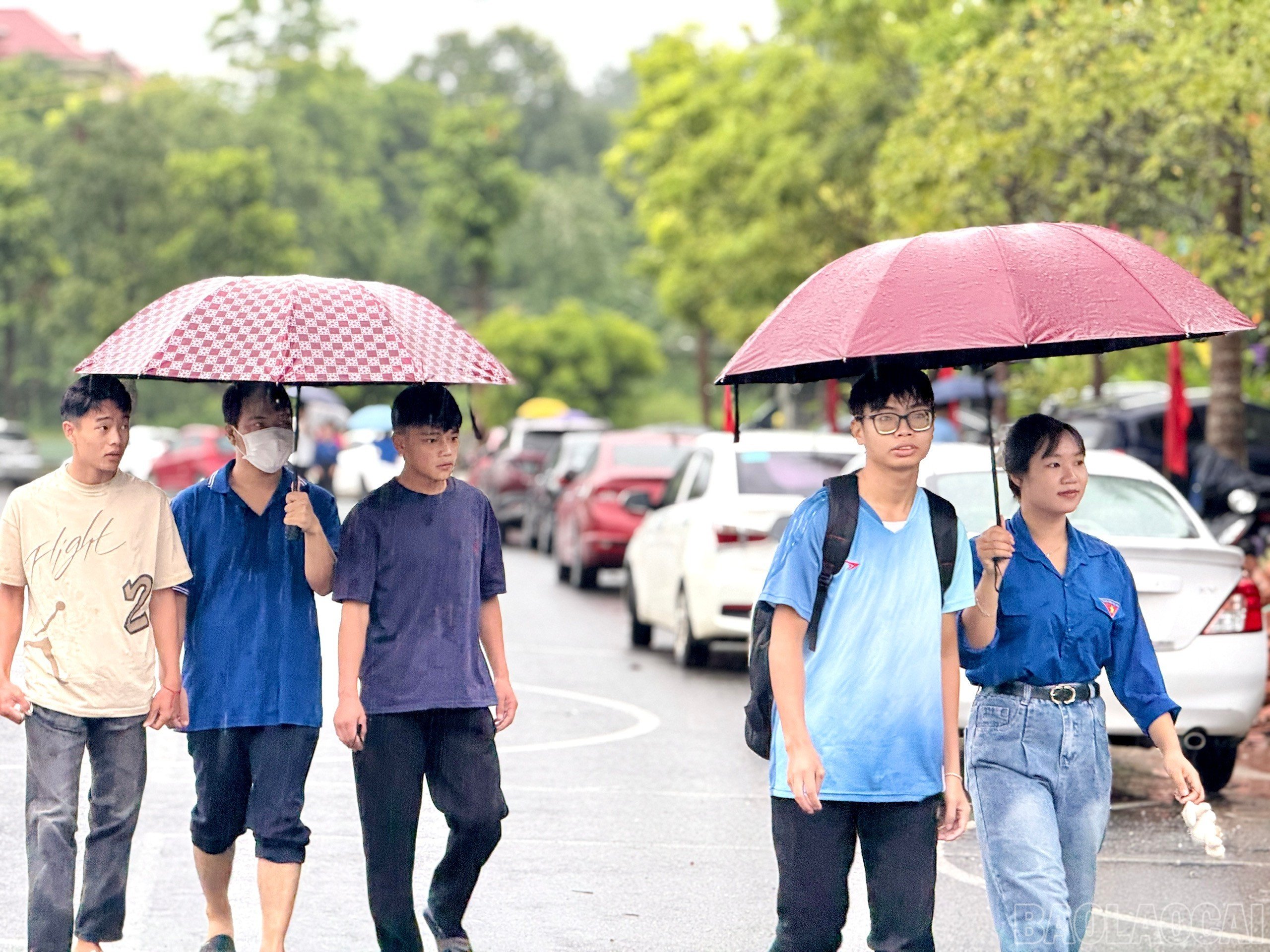 baolaocai-br_z6993009237749-a826257d57152e36ba16b2809abf499f.jpg