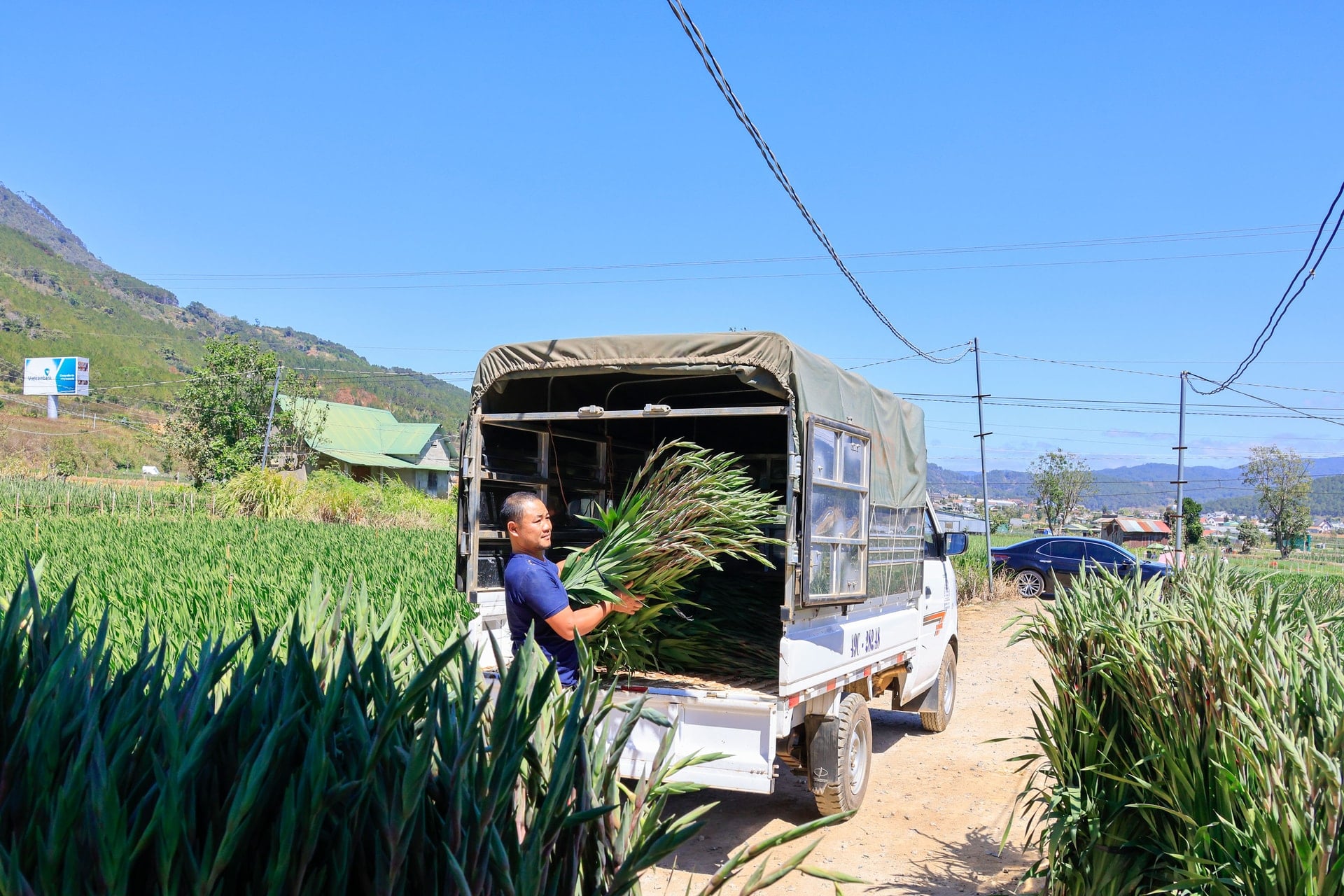duong-giao-thong-thuan-loi-e-vao-tan-vuon-thua-mua-hoa.jpg