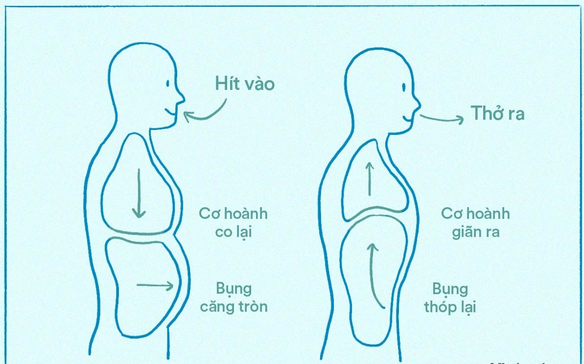 5 petua mudah untuk membantu anda mendapatkan pinggang yang lebih ramping selepas menopaus - Foto 2. 5 mẹo nhỏ giúp bụng eo thon sau mãn kinh- Ảnh 2.