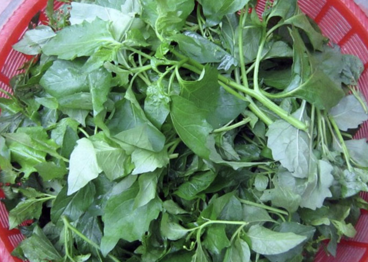 sức khỏe - Ảnh 1.