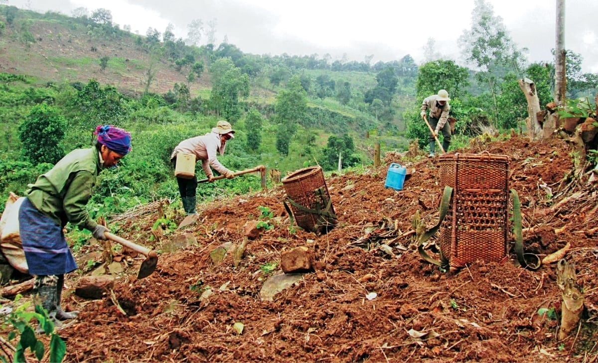 Il programma d'azione nazionale contro la desertificazione mira a ridurre il tasso di degrado del suolo al 40%. Foto: Kien Dong. Chương trình hành động quốc gia chống sa mạc hóa đặt mục tiêu giảm tỷ lệ đất thoái hóa xuống ngưỡng 40%. Ảnh: Kiên Đồng.