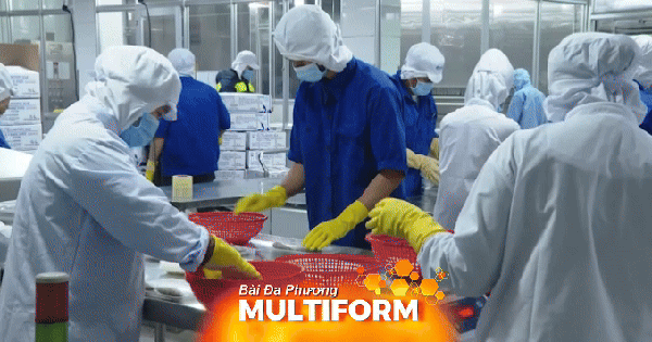 La certification halal en Indonésie ouvre des perspectives d'exportation pour les produits vietnamiens.