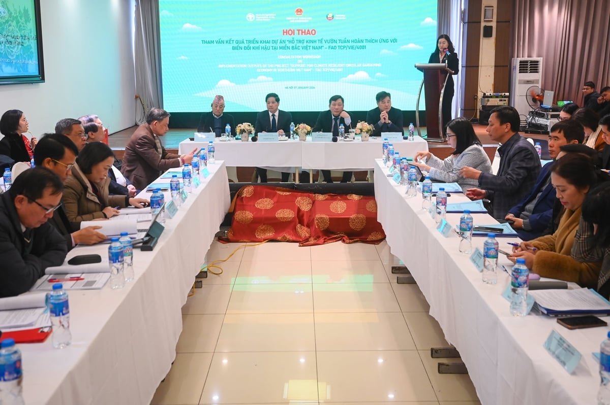 نظّمت جمعية البستنة الفيتنامية ورشة عمل استشارية حول نتائج مشروع Hội Làm vườn Việt Nam tổ chức Hội thảo tham vấn kết quả triển khai dự án 'Hỗ trợ kinh tế vườn tuần hoàn thích ứng biến đổi khí hậu tại miền Bắc Việt Nam'. Ảnh: Tùng Đinh.