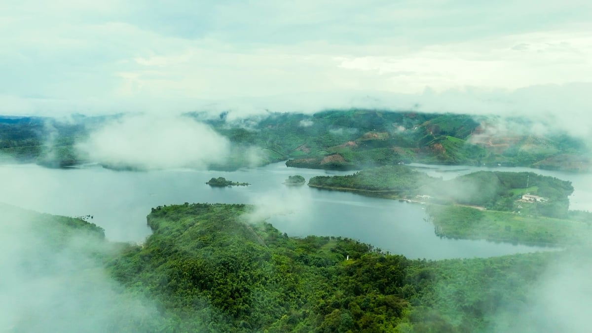 Entro la fine di agosto 2025, il Parco Nazionale di Ta Dung continuerà a piantare circa 15.000 nuovi alberi, contribuendo all'espansione dell'area forestale, all'aumento della copertura forestale e al miglioramento della qualità della foresta naturale. Foto: Pham Hoai. Đến hết tháng 8/2025, Vườn quốc gia Tà Đùng sẽ tiếp tục trồng mới thêm khoảng 15.000 cây xanh, góp phần mở rộng diện tích rừng, tăng độ che phủ và cải thiện chất lượng rừng tự nhiên. Ảnh: Phạm Hoài.