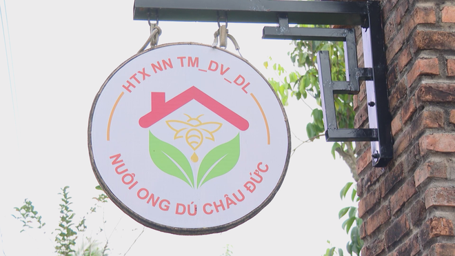 Pelancongan pertanian sedang mewujudkan gelombang baharu untuk pelancongan di Bandar Raya Ho Chi Minh - Foto 5. Du lịch canh nông tạo làn gió mới cho du lịch TP. Hồ Chí Minh- Ảnh 5.