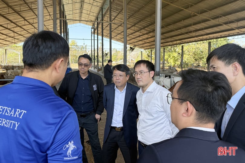 bqbht_br_7-pgsts-watcharawit-meenongyai-ngu-o-ci-ma-u-ac-a-uo-xanh-ang-gio-ui-thie-u-eu-vo-ui-oa-cn-ve-e-c-ca-uch-nuo-ei-bo-c-thi-ut-co-u-cha-e-ut-lu-o-ung-cao.png