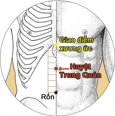 Prendersi cura della milza e dello stomaco è fondamentale per proteggere la salute durante la stagione fredda - Foto 2. Chăm sóc tỳ vị, nền tảng bảo vệ sức khỏe mùa lạnh- Ảnh 2.