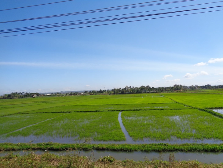 Dove inizia la primavera e il clima rimane mite - Foto 2. mùa xuân - Ảnh 2.