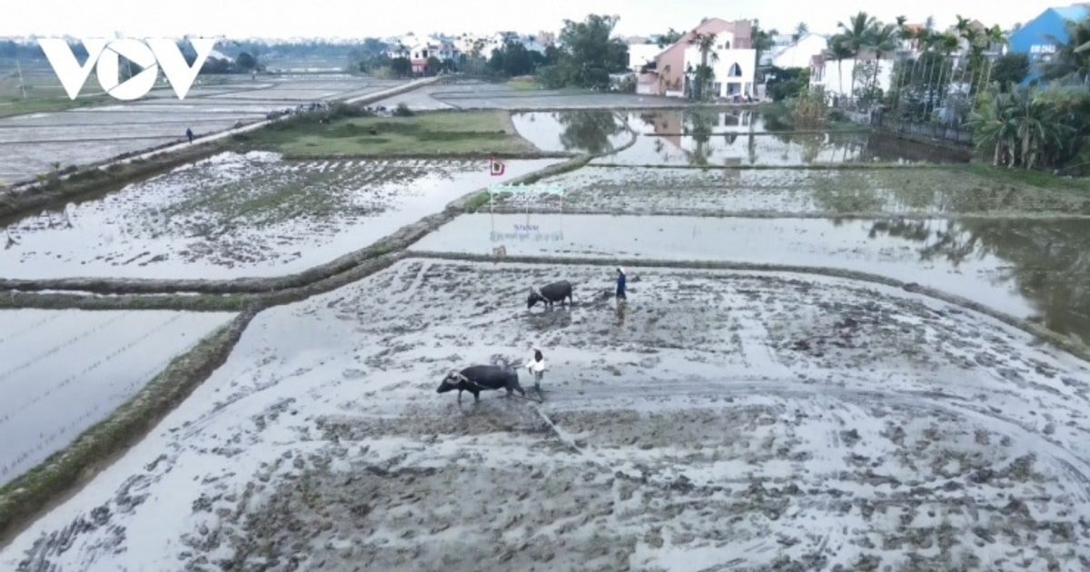 ダナン・ホイアンで田舎暮らし体験のすすめ