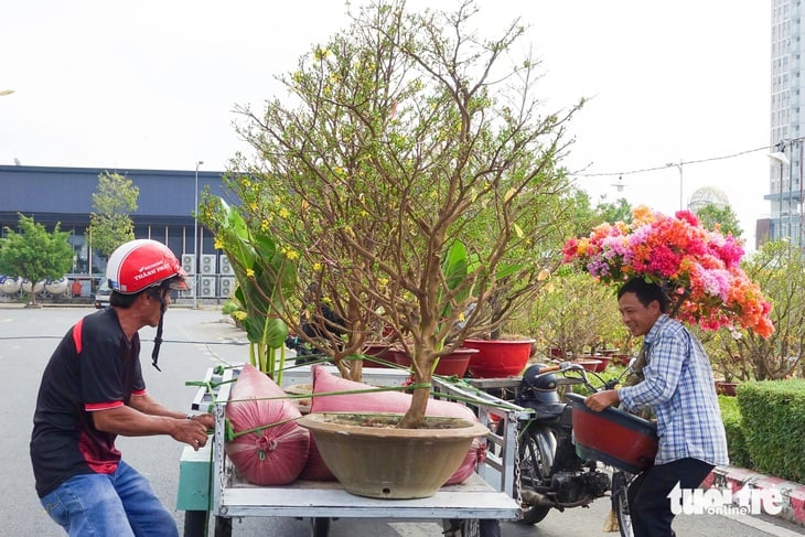  mùa đoàn viên - Ảnh 2.