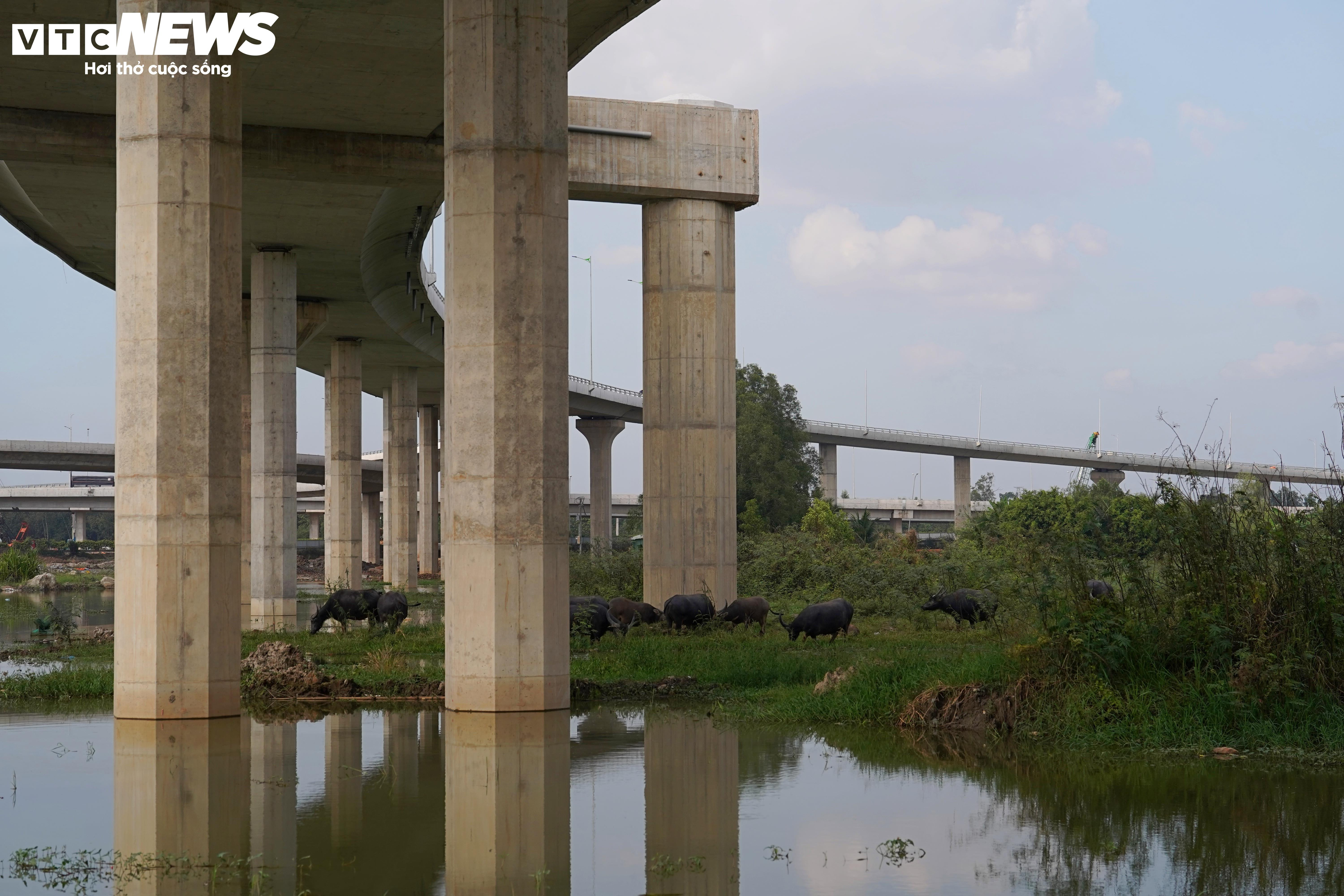 Zwei Mega-Knotenpunkte, die die Schnellstraße mit dem Flughafen Long Thanh verbinden, schreiten zügig voran – 5