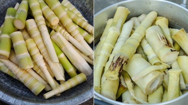 Cose da tenere a mente per evitare intossicazioni alimentari quando si mangiano germogli di bambù - Foto 2. Những lưu ý để tránh bị ngộ độc khi ăn măng - Ảnh 2.