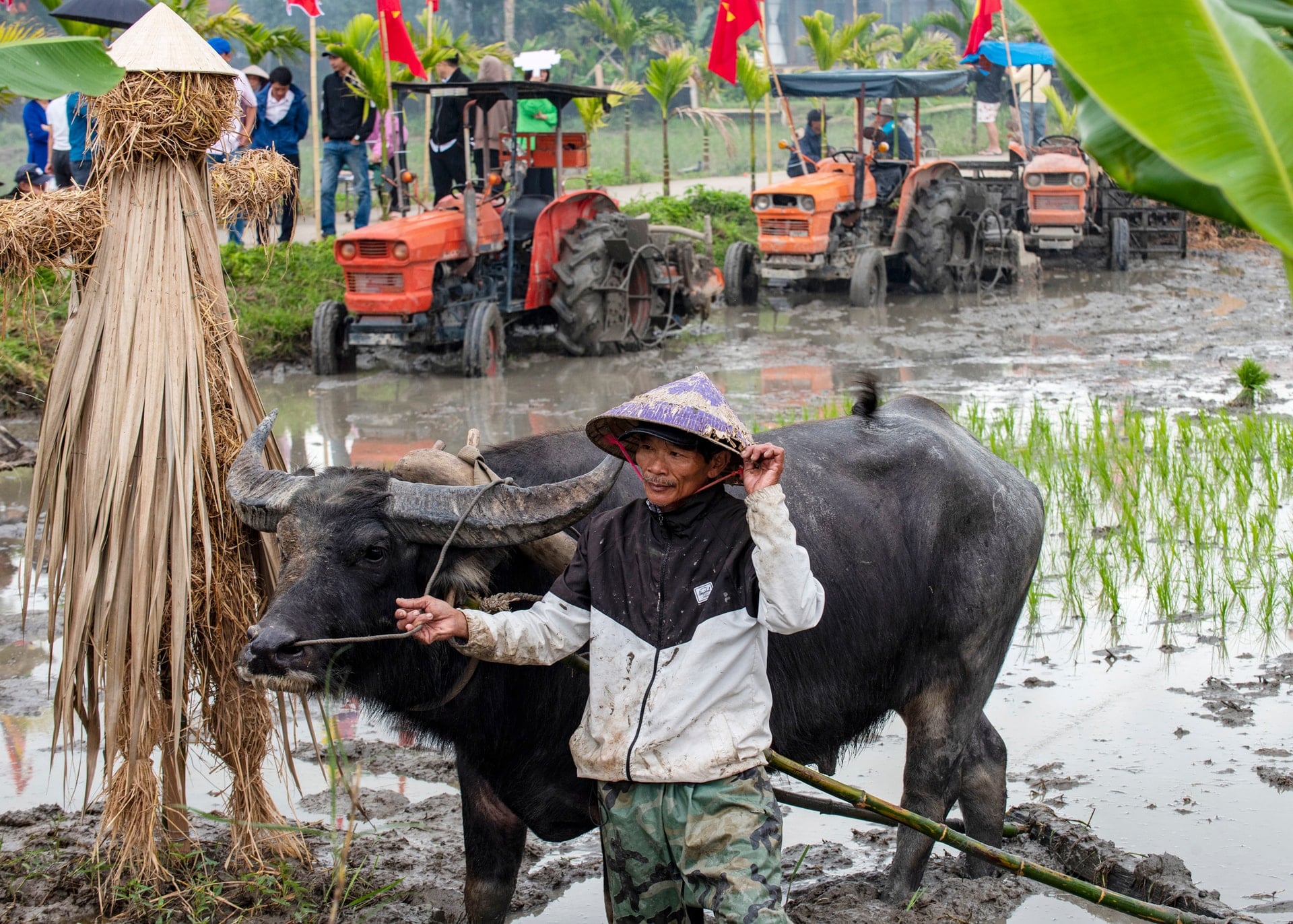 TUY_1750 - Nguyen Tuong Tuyen - 0905122378