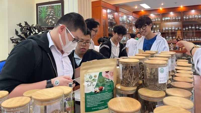 Học sinh tham quan Bảo tàng Dược liệu Việt Nam. (Ảnh: BÁO NHÂN DÂN)