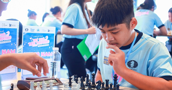 ベトナム発：ChessUpで広がるチェスの輪
