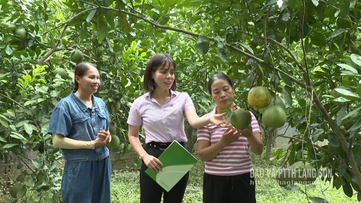 Cán bộ Phòng giao dịch Ngân hàng chính sách xã hội Hữu Lũng kiểm tra tình hình sử dụng vốn vay tại thôn Làng Trang, xã Yên Bình