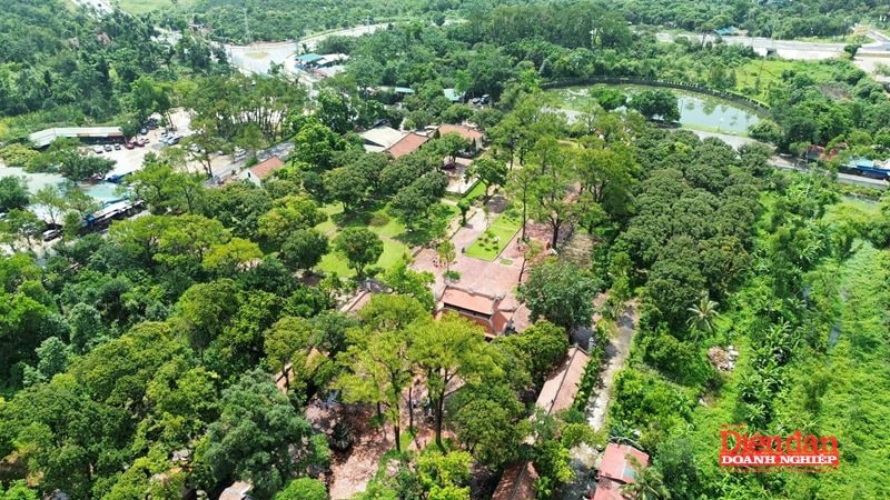 Hải Phòng: Phát triển du lịch xanh vì mục tiêu bền vững - Ảnh 1.