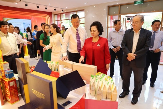 TPHCM phê duyệt kế hoạch hỗ trợ DNNVV giai đoạn 2026-2028- Ảnh 1.