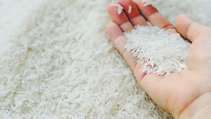Cập nhật giá lúa gạo hôm nay 13/1/2026 mới nhất