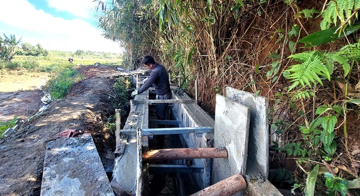 Những tuyến kênh mới dần hình thành, kịp đưa nước vào đồng tưới cho vụ đông xuân 2025 - 2026. Ảnh: ĐL. 
