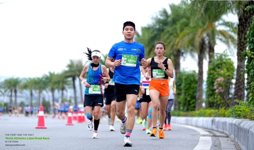 Du lịch thể thao và vai trò dẫn dắt của Quảng Ninh trong hệ sinh thái quốc gia - Ảnh 2.