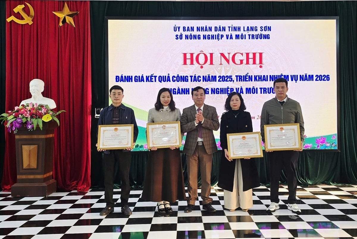 Các cá nhân có thành tích xuất sắc trong phong trào thi đua 'Làm giàu, làm sạch cơ sở dữ liệu quốc gia về đất đai' nhận Bằng khen của Chủ tịch UBND tỉnh Lạng Sơn. Ảnh: Hoàng Nghĩa.