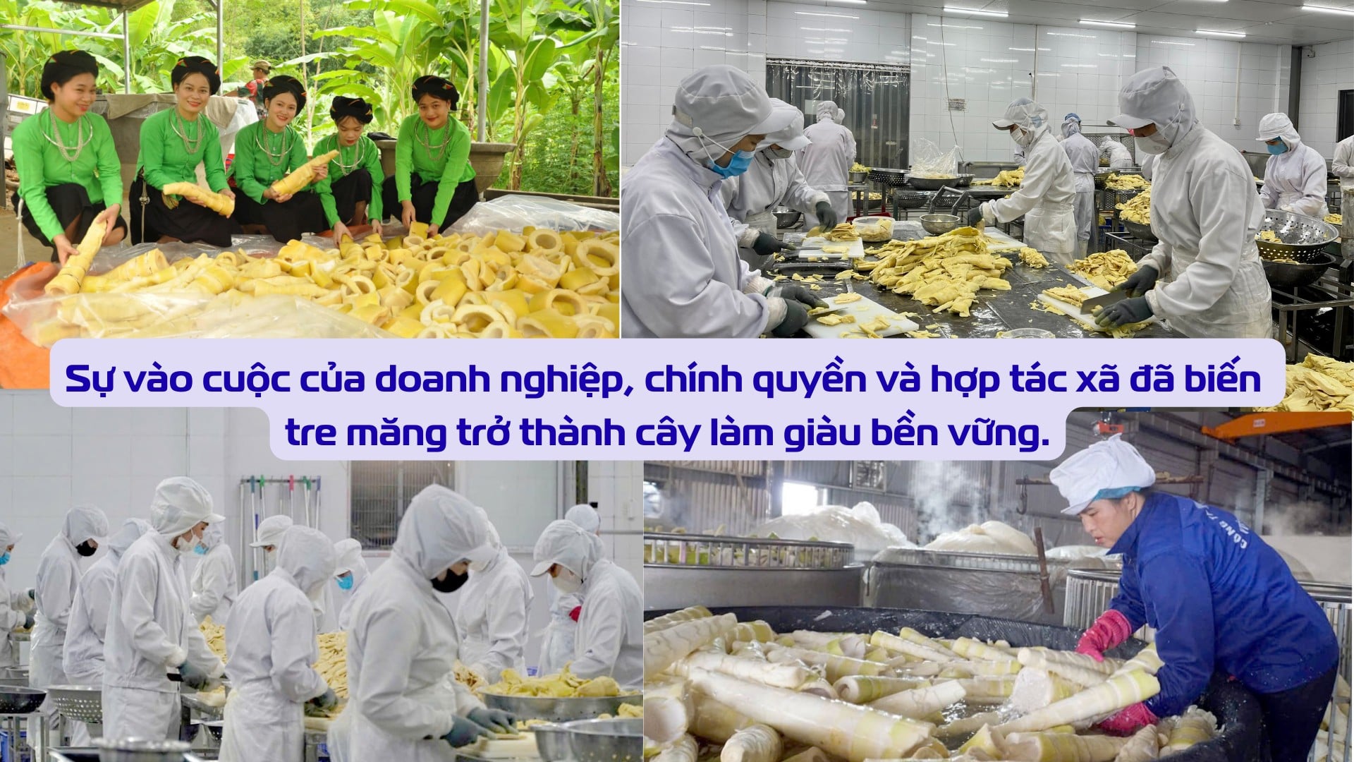 giai-bai-toan-tieu-thu.png