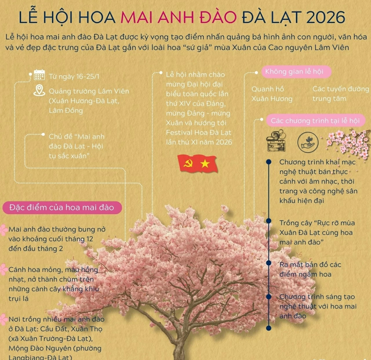 Informazioni sul Festival dei ciliegi in fiore di Da Lat 2026 Thông tin về Lễ hội hoa mai anh đào Đà Lạt năm 2026