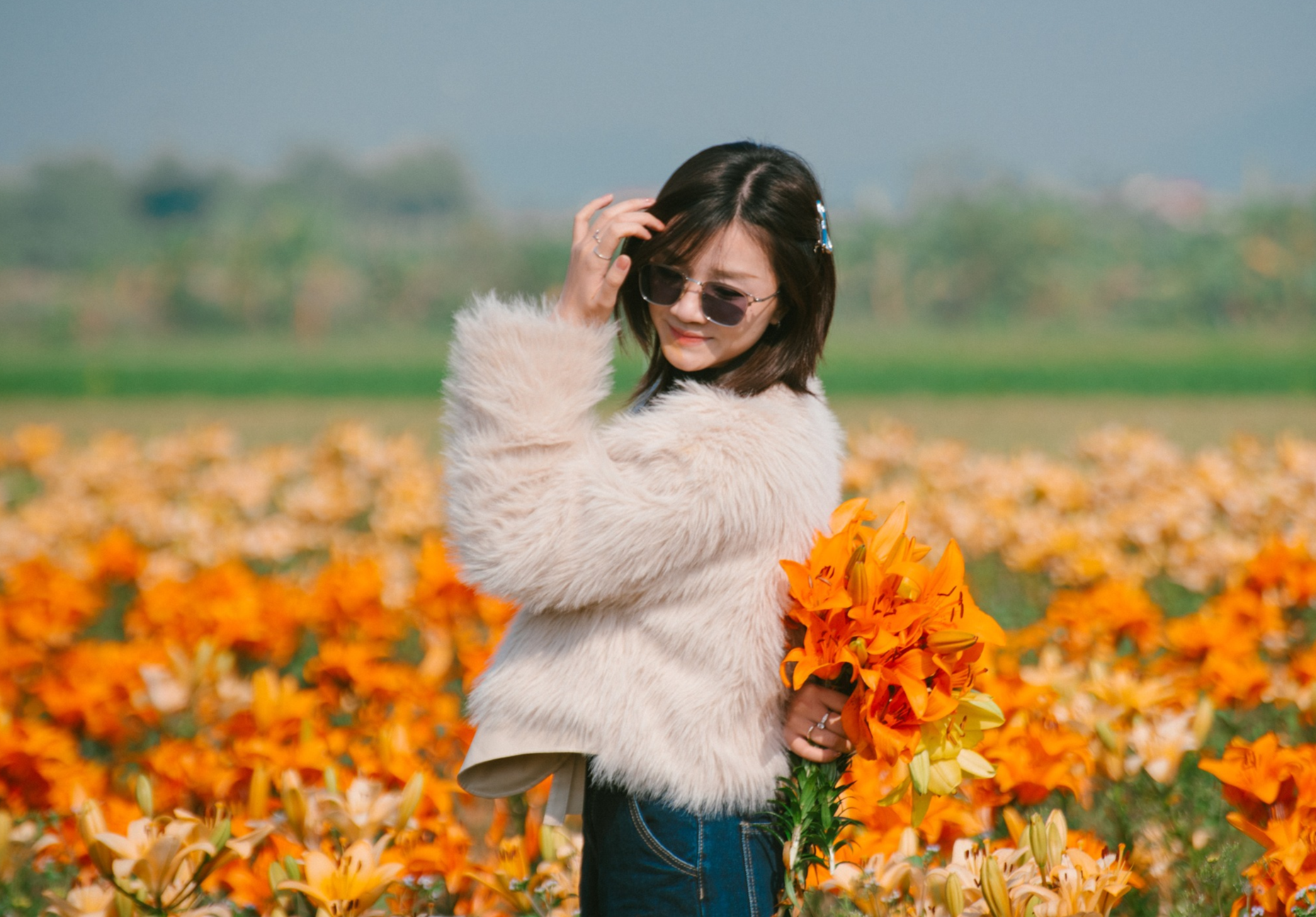 https://static-images.vnncdn.net/vps_images_publish/000001/000003/2026/1/14/rung-phong-huong-gan-ngoi-chua-co-o-hai-phong-hut-khach-check-in-mua-thay-la-1773.png