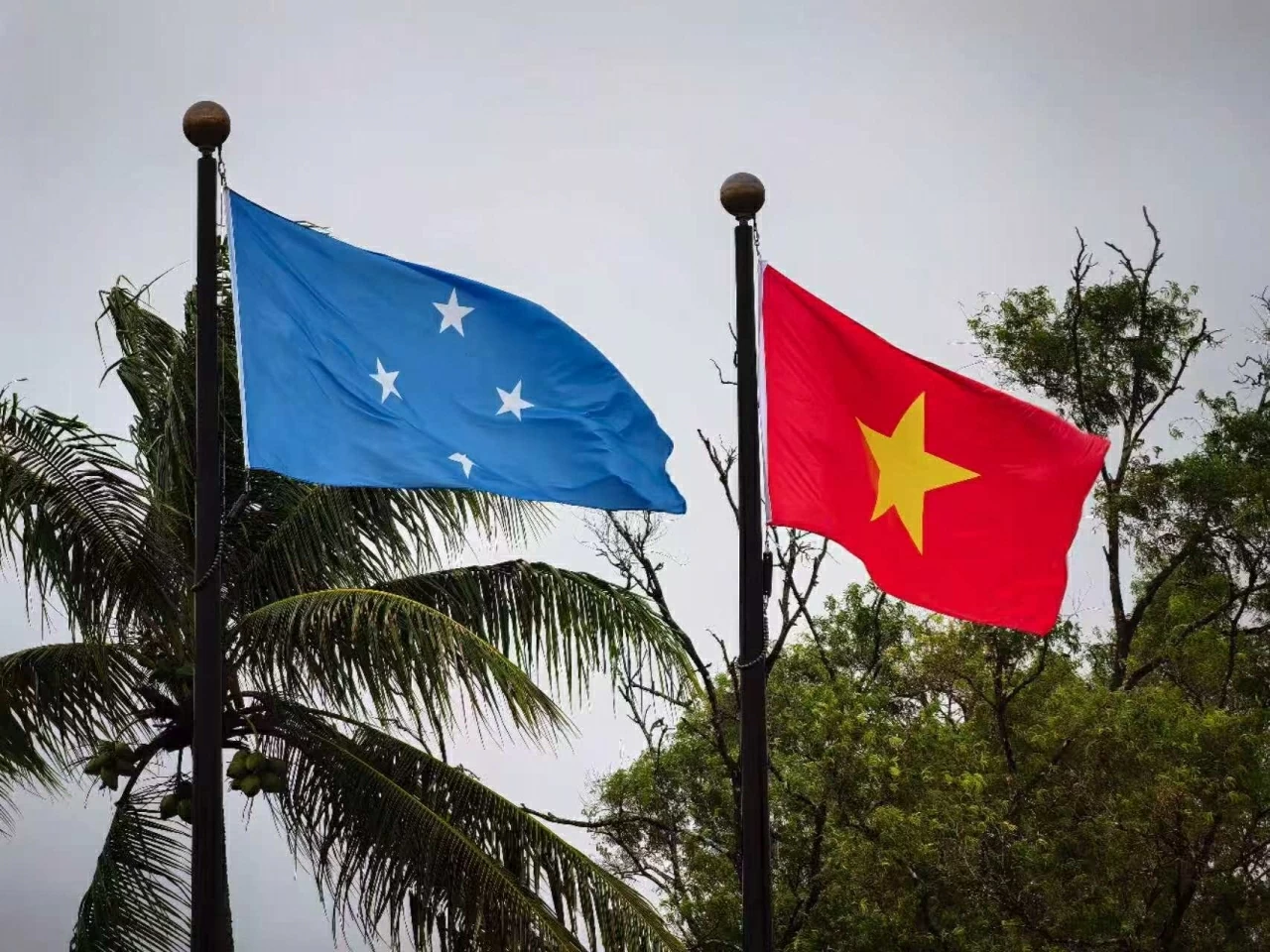 Đại sứ Phạm Thanh Bình trình Quốc thư lên Tổng thống Liên bang Micronesia