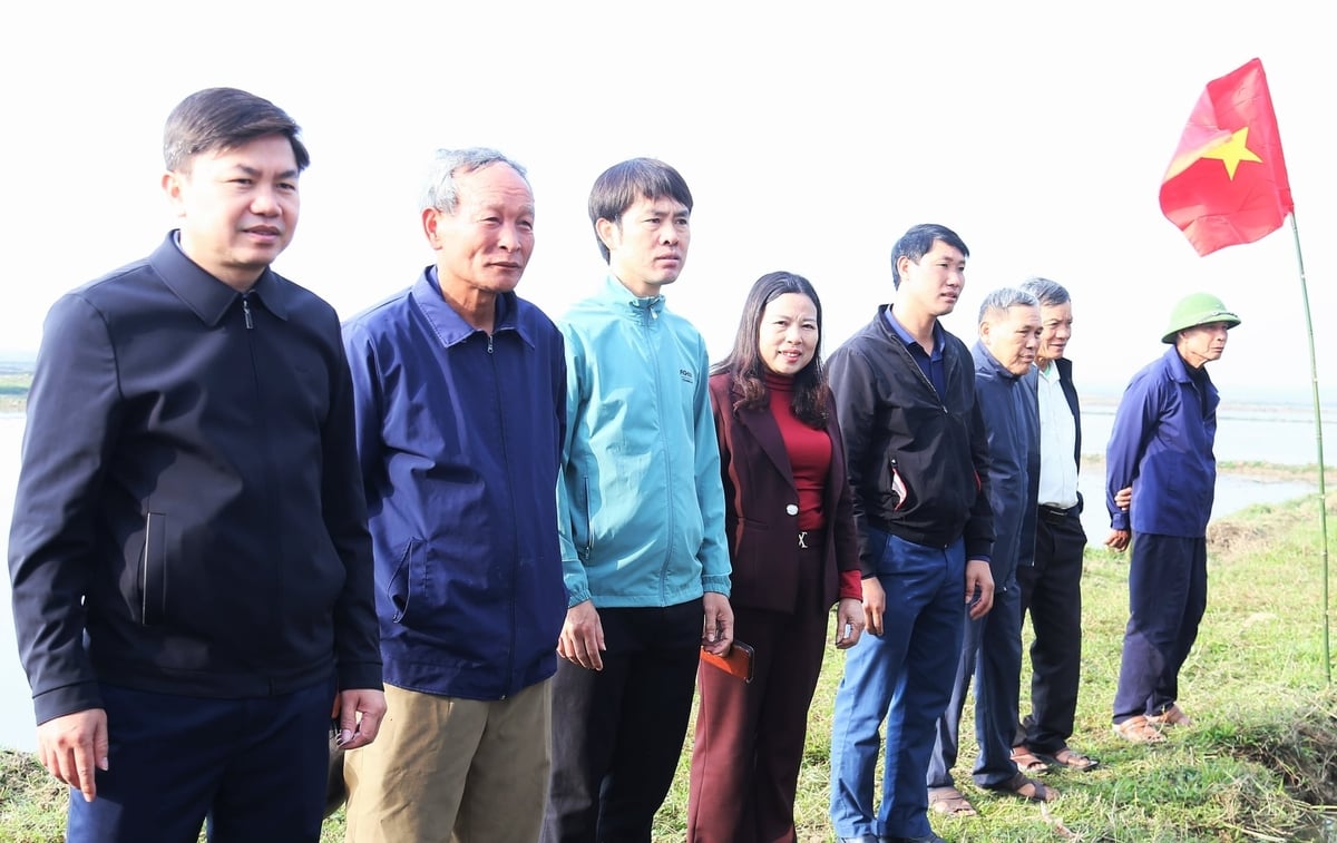 Ông Lê Ngọc Hà, Chủ tịch xã Cẩm Hưng cho biết, sau mô hình thí điểm, xã sẽ nhân rộng kỹ thuật mạ khay, máy cấy trên xứ đồng khác trong các vụ tới. Ảnh: Thanh Nga.