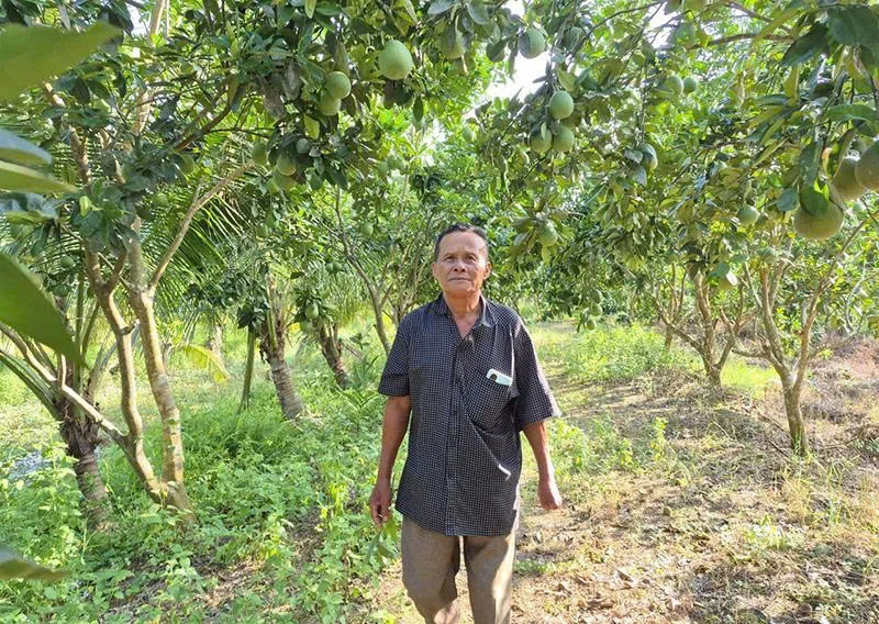 Transforming saline-affected lowlands into areas yielding sweet fruits.