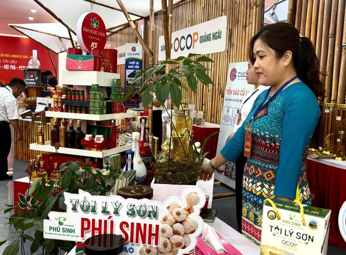 Tỏi Lý Sơn được chế biến sâu và được chứng nhận sản phẩm OCOP giúp sản phẩm thuận lợi trong việc mở rộng thị trường. Ảnh: L.K.