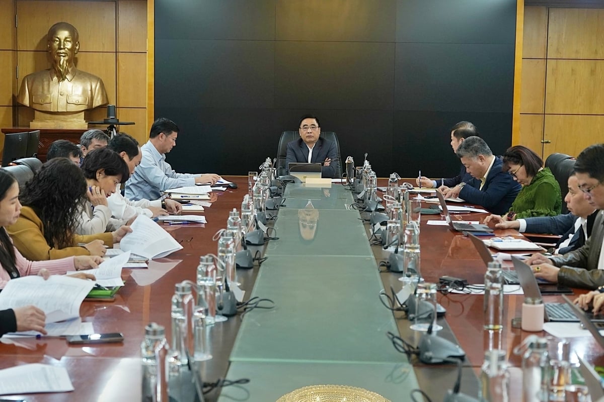 Ngành lâm nghiệp đặt mục tiêu tăng trưởng 5,5-5,6% trong năm 2026. Ảnh: Bảo Thắng.