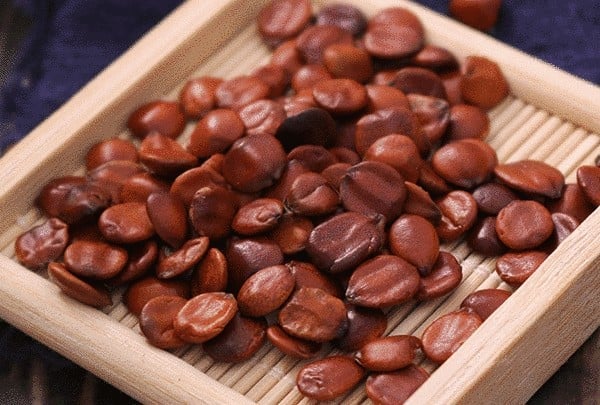 5 vị thuốc giúp ngủ ngon trong mùa đông- Ảnh 1.