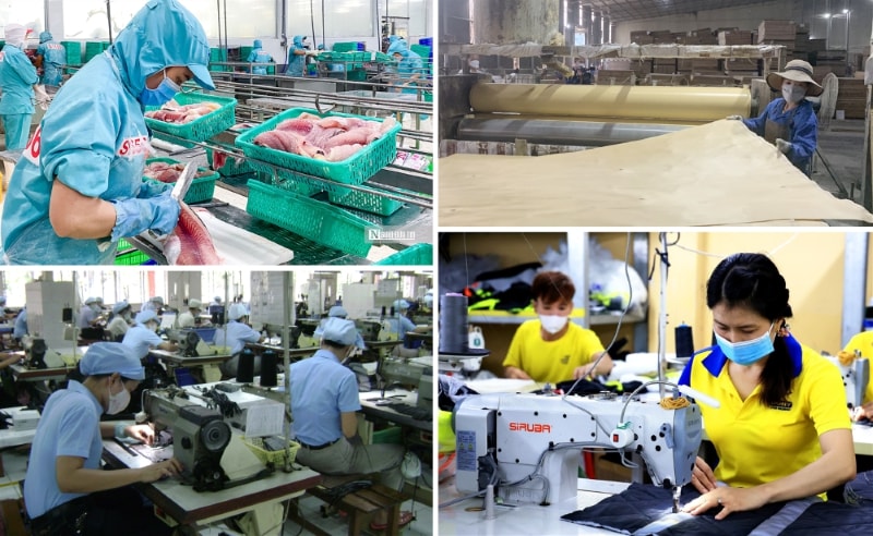 Chính sách ưu đãi thuế phát triển kinh tế tư nhân- Ảnh 1.