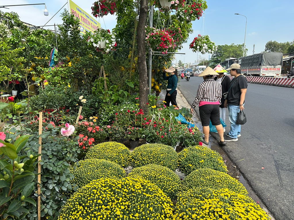 Phố phường TP . HCM rực rỡ sắc xuân và ảnh hưởng đến kinh tế địa phương - Ảnh 2.