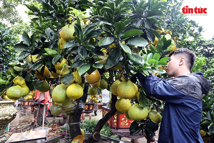 Chú thích ảnh