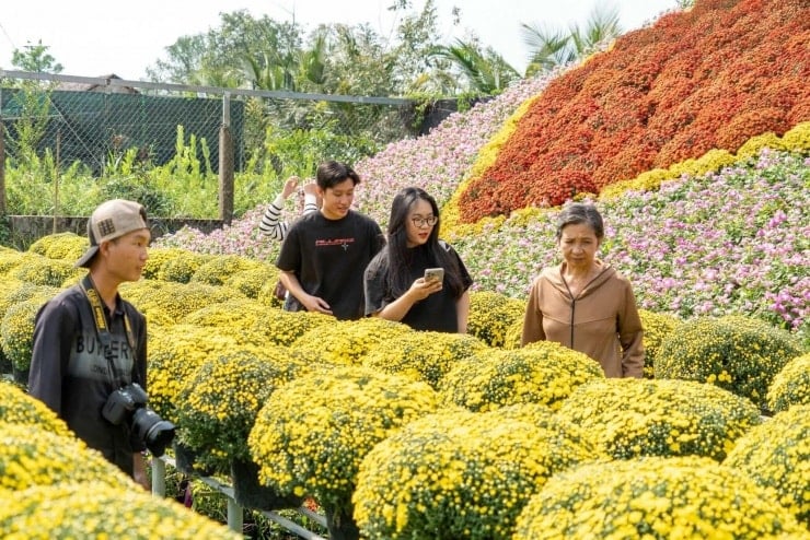 Du khách thong thả dạo bước và chụp ảnh giữa những giàn hoa rực rỡ tại Sa Đéc.