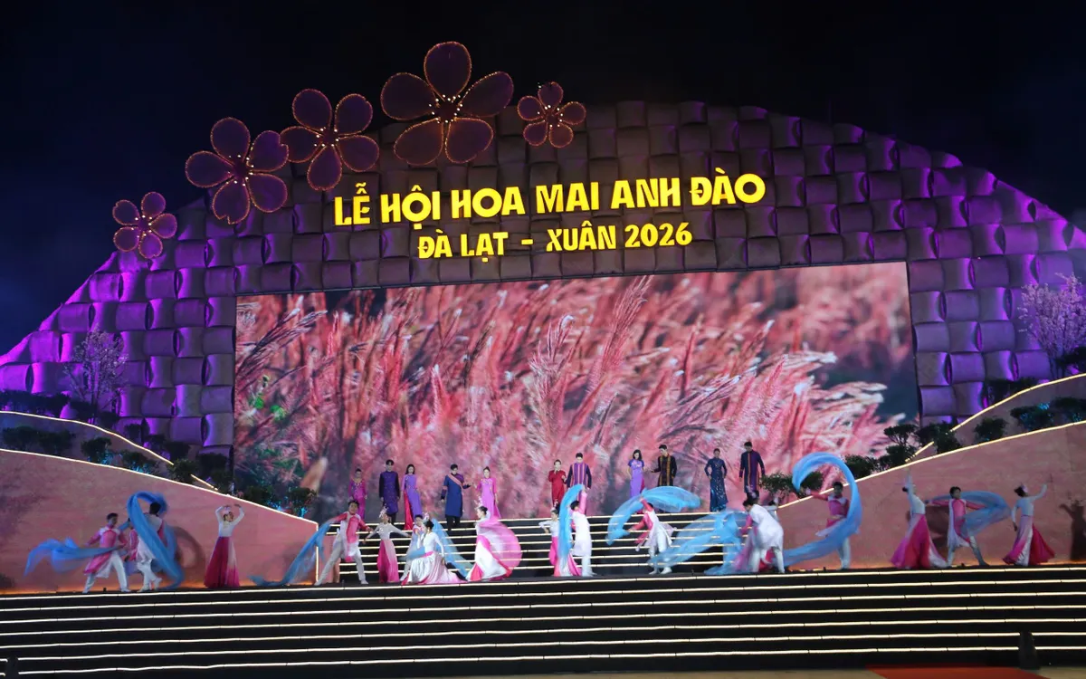 Khai mạc Lễ hội Hoa Mai anh đào - Đà Lạt xuân 2026.