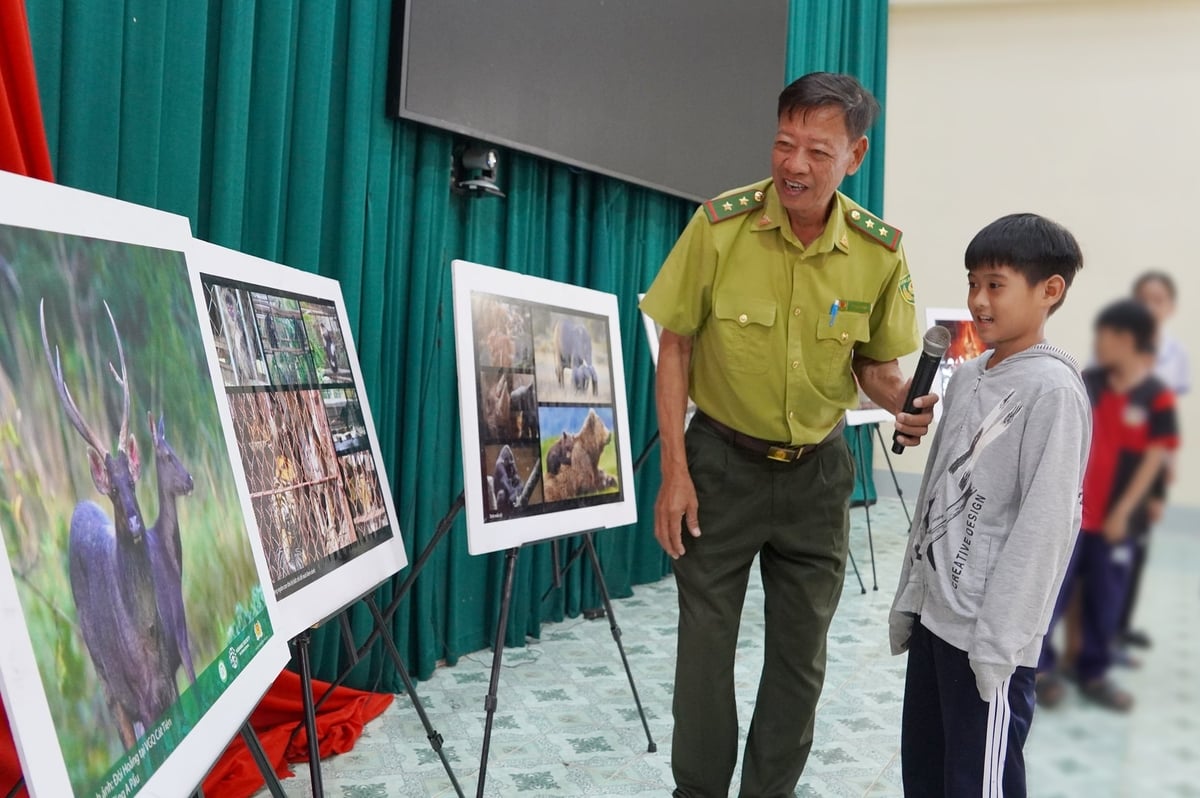 Các em học sinh rất thích thú khi được tìm hiểu về các loài động vật hoang dã. Ảnh: Nguyễn Thủy.
