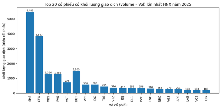 Cổ phiếu nào thực sự 'đông người chơi' nhất sàn chứng khoán năm 2025? - Ảnh 2.