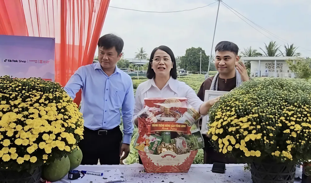 Representatives from the Party Committee and People's Committee of Cho Lach commune, along with a livestream content creator, helped rescue chrysanthemum plants for the local people.