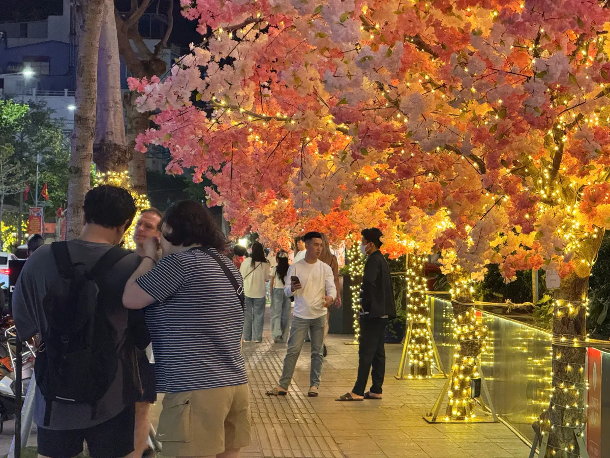 The vibrant colors of spring in the year of the Horse (Bính Ngọ) fill Nha Trang - Khánh Hòa - Photo 6. Sắc xuân Bính Ngọ rộn ràng tại Nha Trang - Khánh Hòa- Ảnh 6.