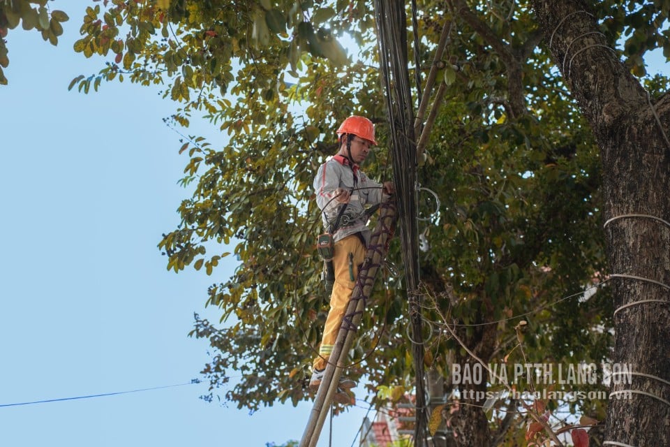 Kỹ thuật viên doanh nghiệp viễn thông tiến hành bó gọn cáp tại đường Trần Phú, phường Kỳ Lừa