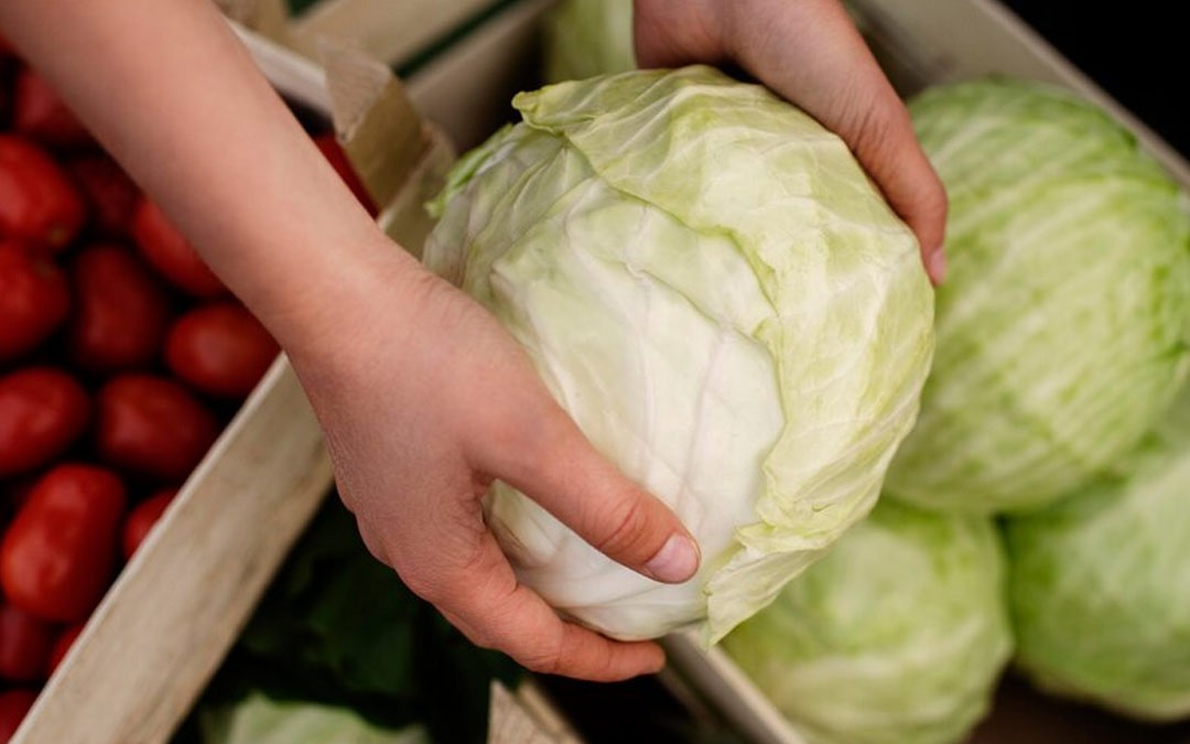 8 غذا و داروی آسان برای تهیه از کلم - عکس 5. Ăn bắp cải có tác dụng gì?