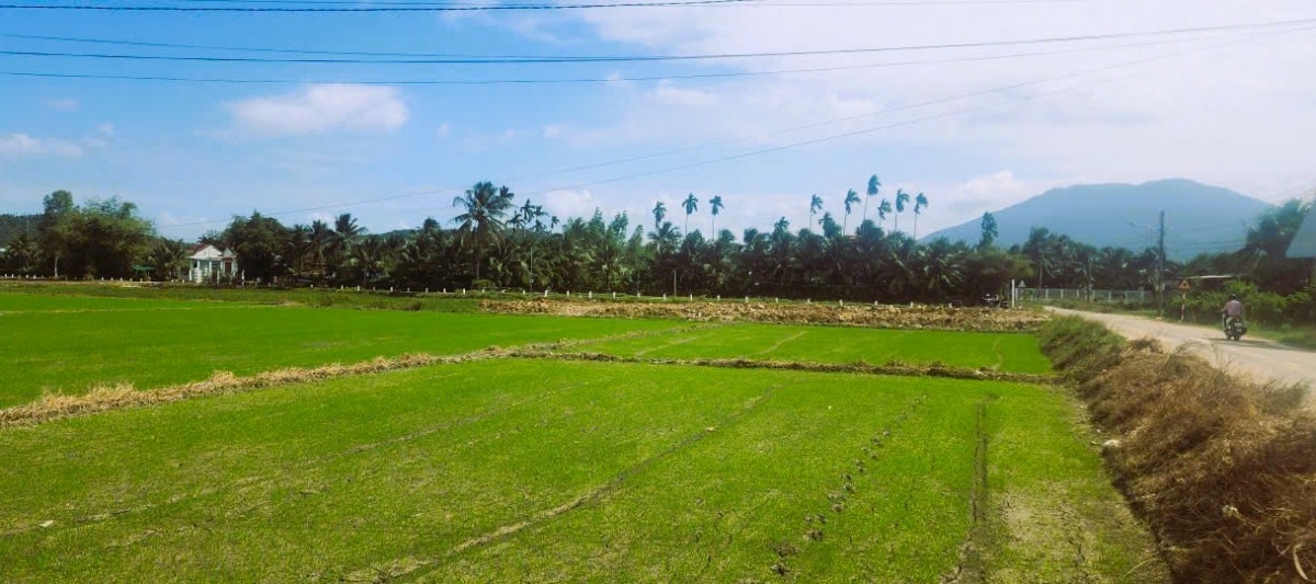 Tín dụng ngân hàng -  điểm tựa phục hồi sinh kế vùng lũ ở Khánh Hòa.