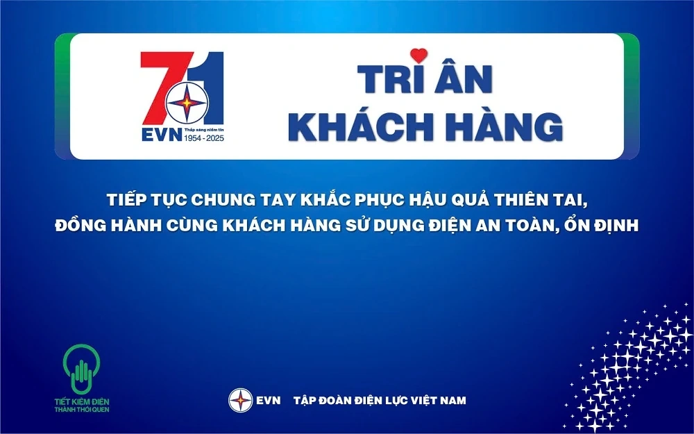 Mois de la reconnaissance des clients 2025, Compagnie d'électricité de Thanh Hoa