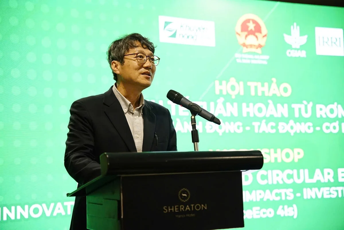 PGS. TS. Nguyễn Văn Hùng, chuyên gia cao cấp IRRI và Trưởng dự án RiceEco. Ảnh: Linh Linh.